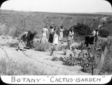 Botany - Cactus Garden, 1935
