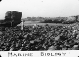 Marine biology, 1935