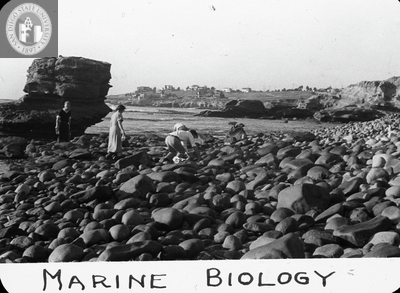 Marine biology, 1935