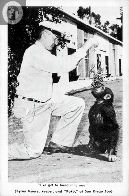 Byron Moore feeds a chimpanzee at San Diego Zoo
