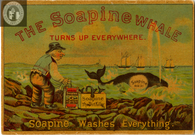 The Soapine Whale Turns up Everywhere.