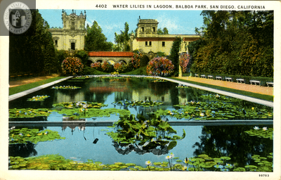 Water lilies in lagoon, Balboa Park, San Diego