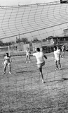 A soccer player kicks the ball