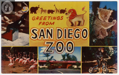 Postcard with "Greetings from San Diego Zoo"