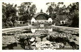 Botanical Gardens, Balboa Park