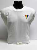 Triangle breast patch striped in six colors of the rainbow