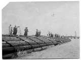 Geography field trip to lumber company, 1919