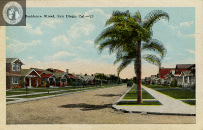 Residential Street, San Diego, with Palm Tree