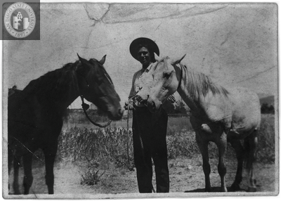 Man with horses