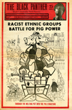 Black Panther Black Community News Service: 11/16/1968