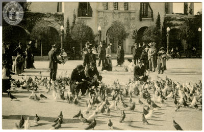 Pigeons, Plaza de Panama, Exposition, 1915