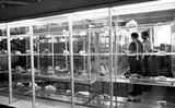 Display cases with geological samples