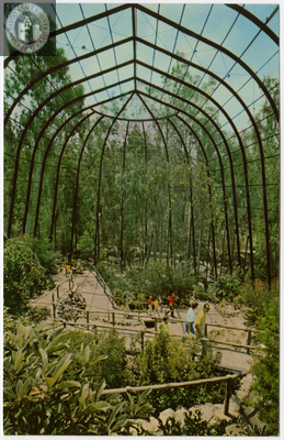 Tropical Rain Forest, San Diego Zoo