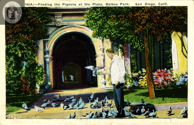 Feeding the Pigeons at the Plaza, Balboa Park