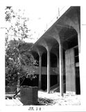 Sycamore tree relocated to Aztec Center atrium, 1967