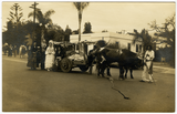 Wedding party with oxcart, San Diego
