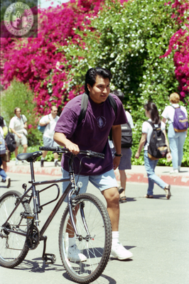 Student with bicycle walking up Hilltop Way, 1996