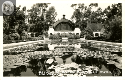 Botanical Gardens, Balboa Park