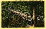Rustic Bridge, Palm Canyon, Balboa Park, San Diego