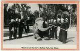 Sailors pose with elephant at the San Diego Zoo