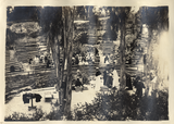 Lunch buffet at the Greek Theatre, 1919