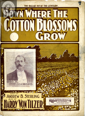 Down where the cotton blossoms grow, 1901