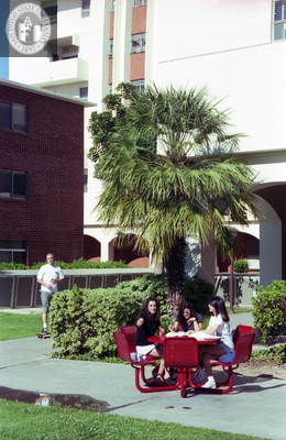 Students at table near east dormitories, 1996