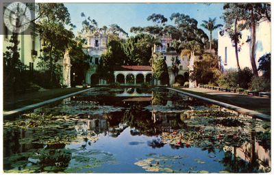 Lily Pond, Balboa Park, San Diego