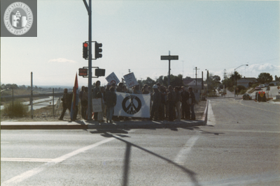 "Vets for Peace" antiwar demonstration, 1971