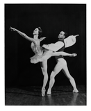 Members of the San Diego Ballet Company