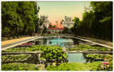 The Lily Pond and Buildings in Balboa Park
