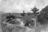Mission Cliffs Gardens, 1890