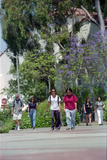 Students on a campus walkway, 2006