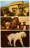 The San Diego Natural History Museum, Balboa Park