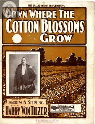 Down where the cotton blossoms grow, 1901