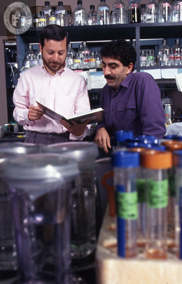 Men in science laboratory