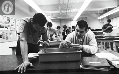 Students in a geology laboratory