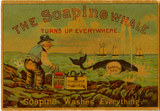 The Soapine Whale Turns up Everywhere.