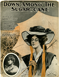 Down among the sugar-cane, 1908