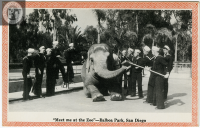 Sailors pose with elephant at the San Diego Zoo