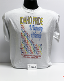 "Idaho Pride:  A Tapestry of Diversity, Boise, Idaho, 1995"