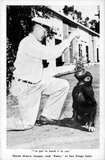 Byron Moore feeds a chimpanzee at San Diego Zoo