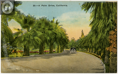 Palm Drive, California
