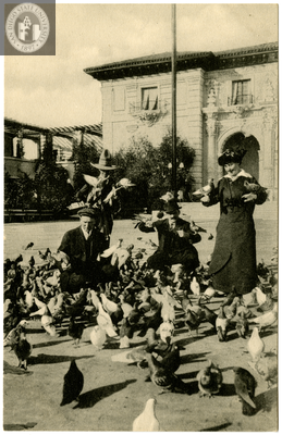 Pigeons, Plaza de Panama, Exposition, 1915