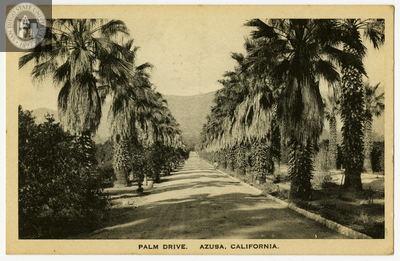 Palm Drive, Azusa, California