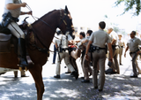 Police carry Brian Barlow from the Pride parade, 1986