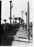 Picket line with Stephen Bell during Gay Liberation Front picket at SDPD, 1971