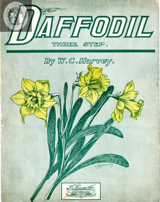 Daffodil, 1906